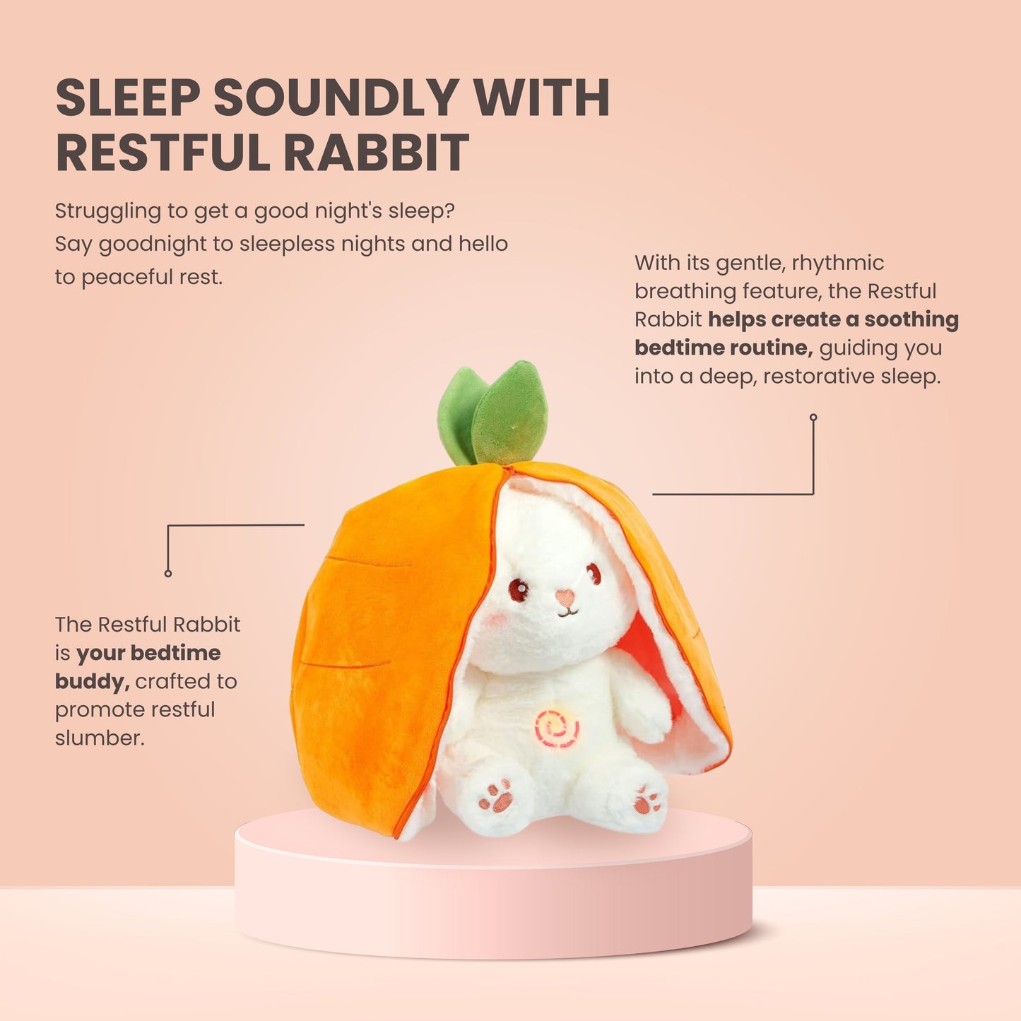 THE RESTFUL RABBIT™