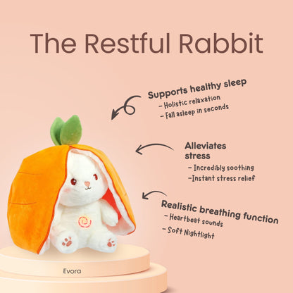 THE RESTFUL RABBIT™